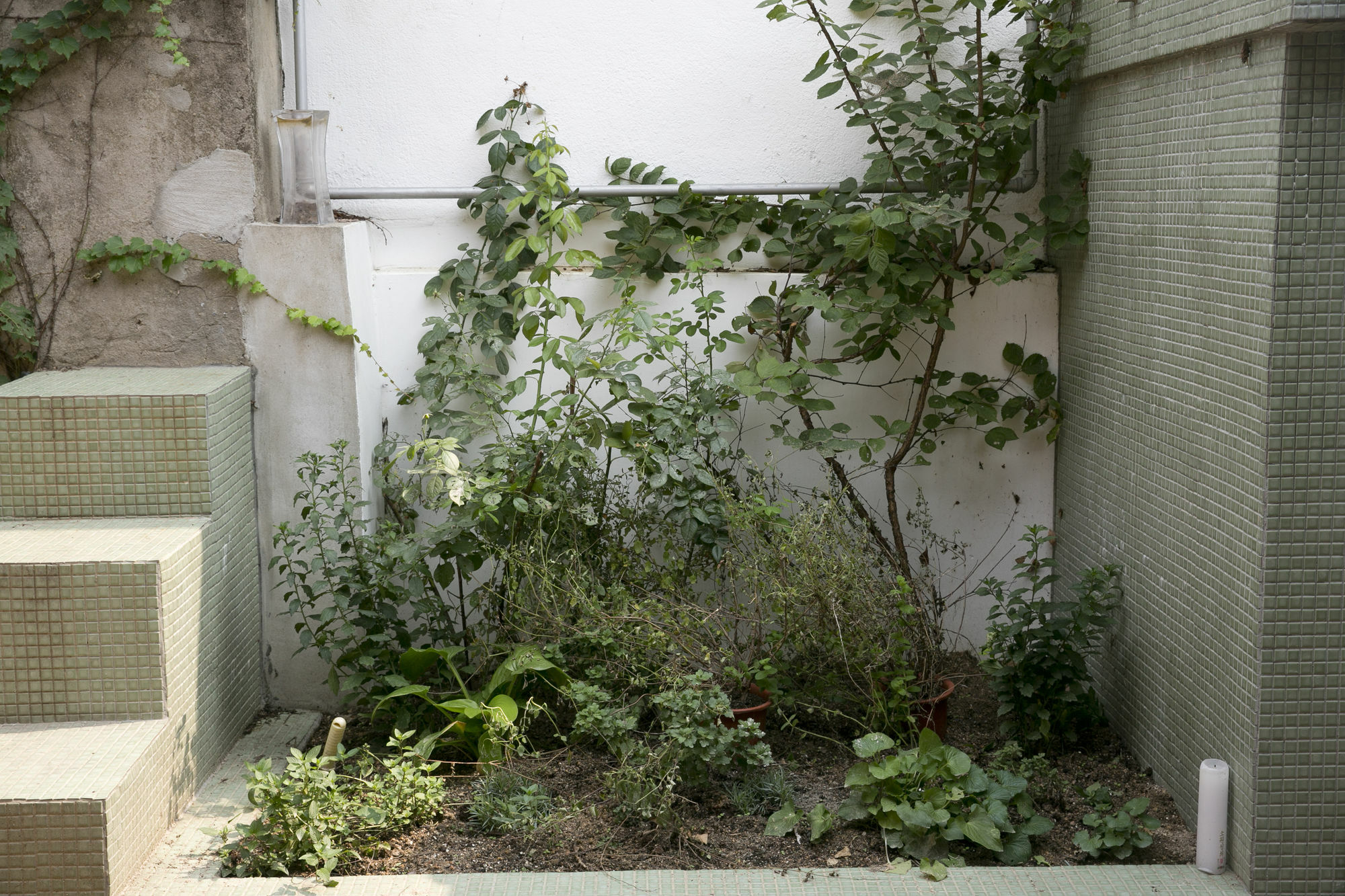 Nuri Hanok Guesthouse Seoul Exterior photo
